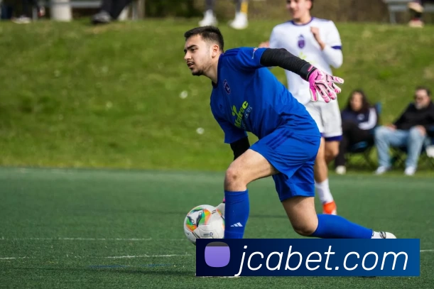 金彩娱乐官网平台生态图