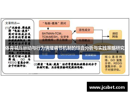 体育减压运动与行为情绪调节机制的综合分析与实践策略研究